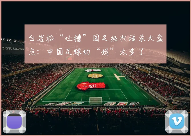 白岩松“吐槽”国足经典语录大盘点：中国足球的“妈”太多了