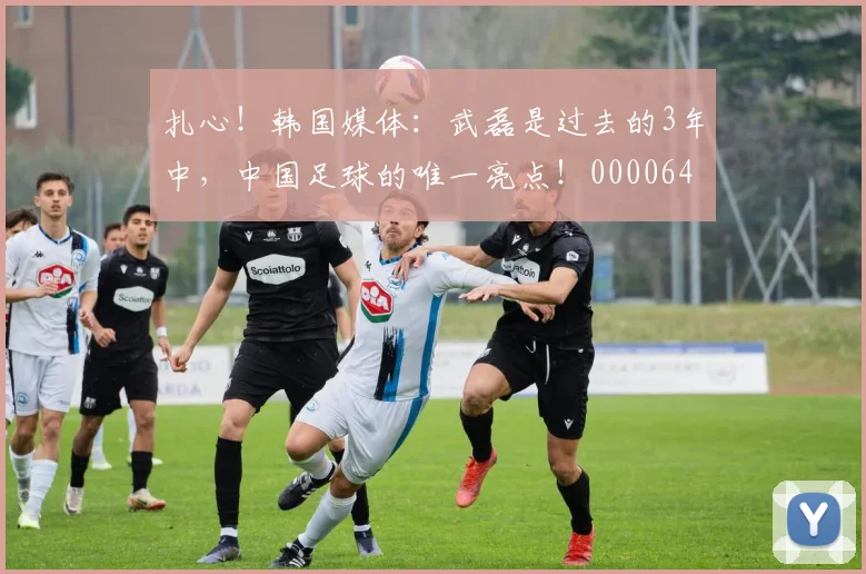 扎心！韩国媒体：武磊是过去的3年中，中国足球的唯一亮点！0000644