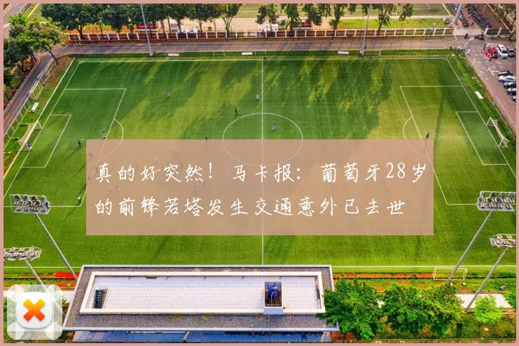 真的好突然！马卡报：葡萄牙28岁的前锋若塔发生交通意外已去世
