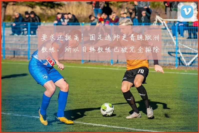 要求还挺高！国足选帅更青睐欧洲教练，所以日韩教练已被完全排除