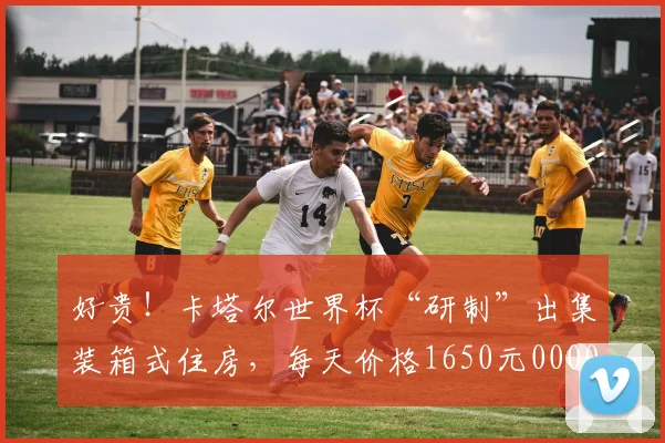 好贵！卡塔尔世界杯“研制”出集装箱式住房，每天价格1650元0000644