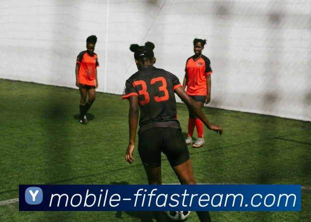 世界杯手机直播网站平台生态图